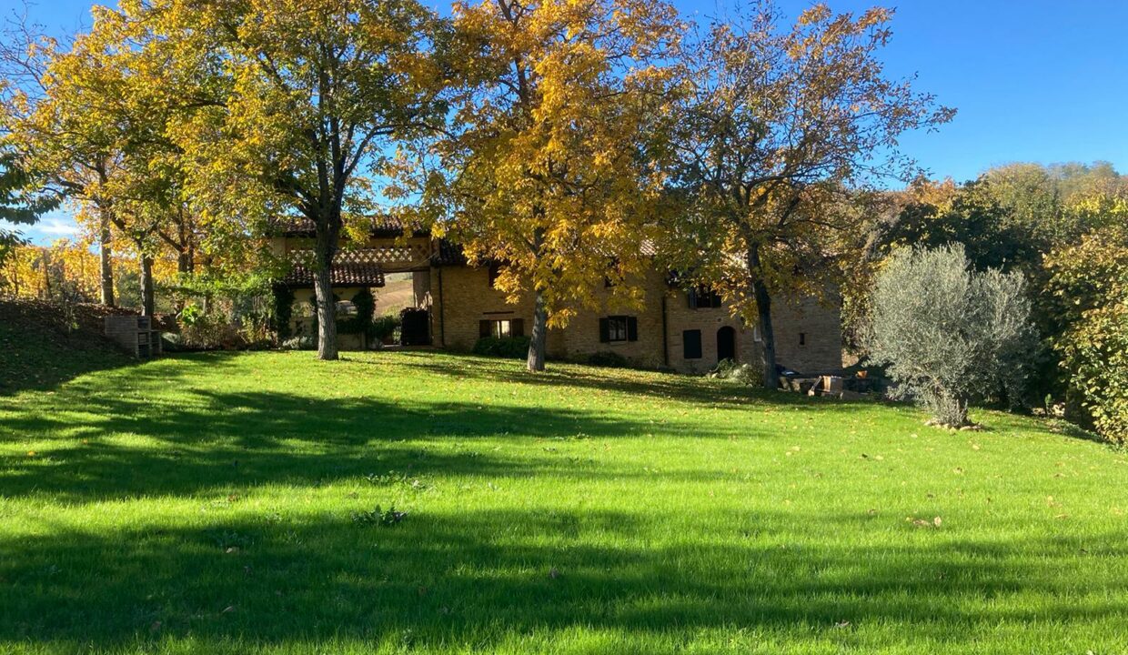 WhatsApp Image 2024-02-26 at 11.10.26