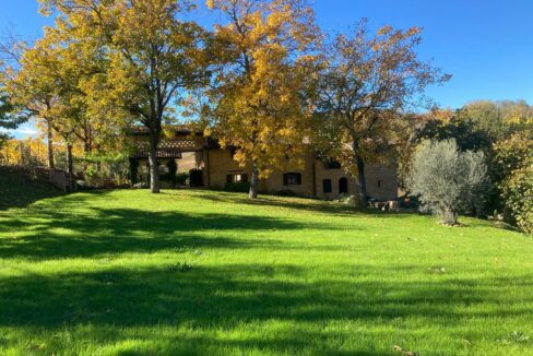 WhatsApp Image 2024-02-26 at 11.10.26