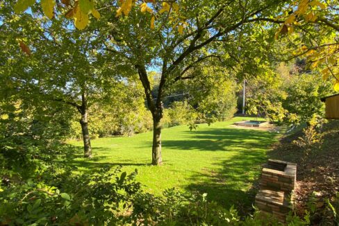 WhatsApp Image 2024-02-26 at 11.11.09