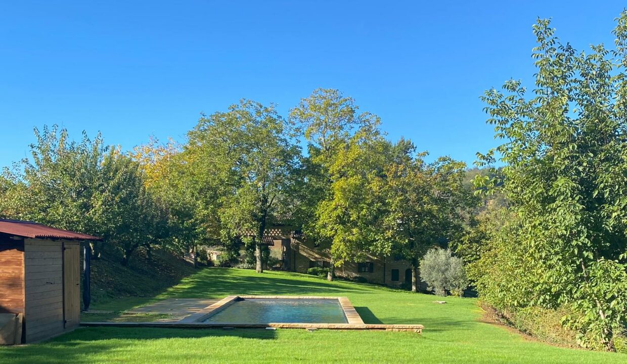 WhatsApp Image 2024-02-26 at 11.11.12 (1)