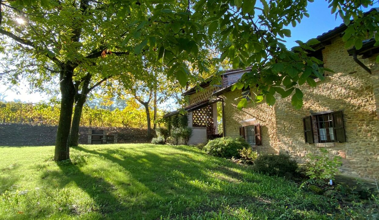 WhatsApp Image 2024-02-26 at 11.11.12